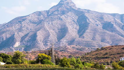 Escuela Internacional de Golf en Marbella