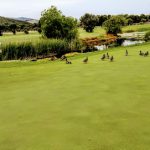 Club de Golf Terramar en Sitges
