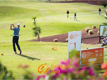 Gambito Golf en Madrid