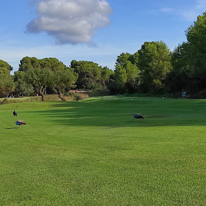 Golf Son Parc Menorca en Son Parc