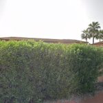 Información y Tienda en Guillena