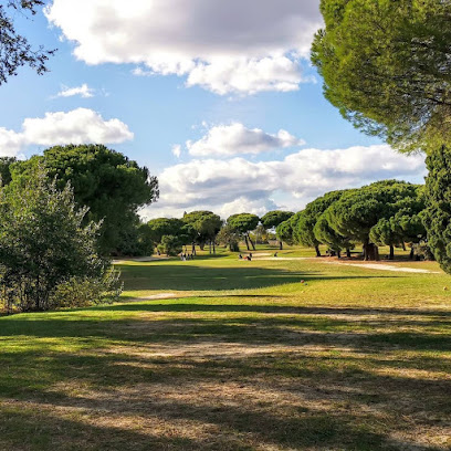 Golf SOMOSAGUAS Golf en Pozuelo de Alarcón
