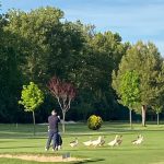 Club de Golf Aranjuez en Aranjuez