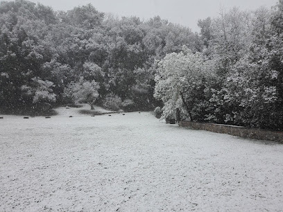 Golf And Golf 2012 Sl en Quart