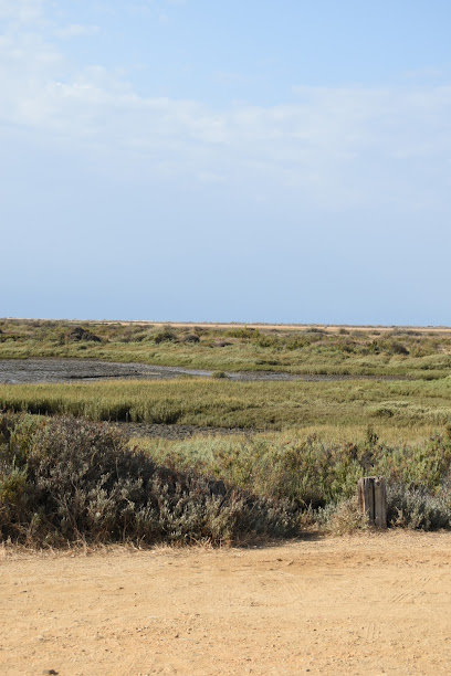 La Monacilla Golf en Corrales