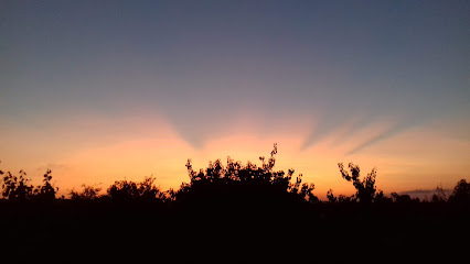 Campo Budista en Picassent